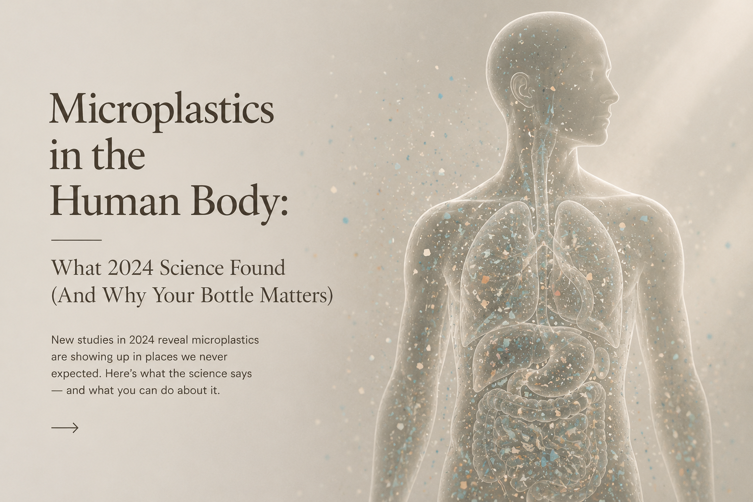 Microplastics in the Human Body: What 2024 Science Found (And Why Your Bottle Matters)